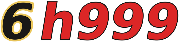 6h999 logo